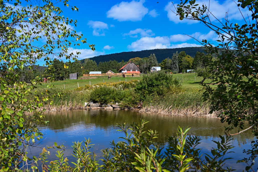 construire-paysage-ferme-sauve