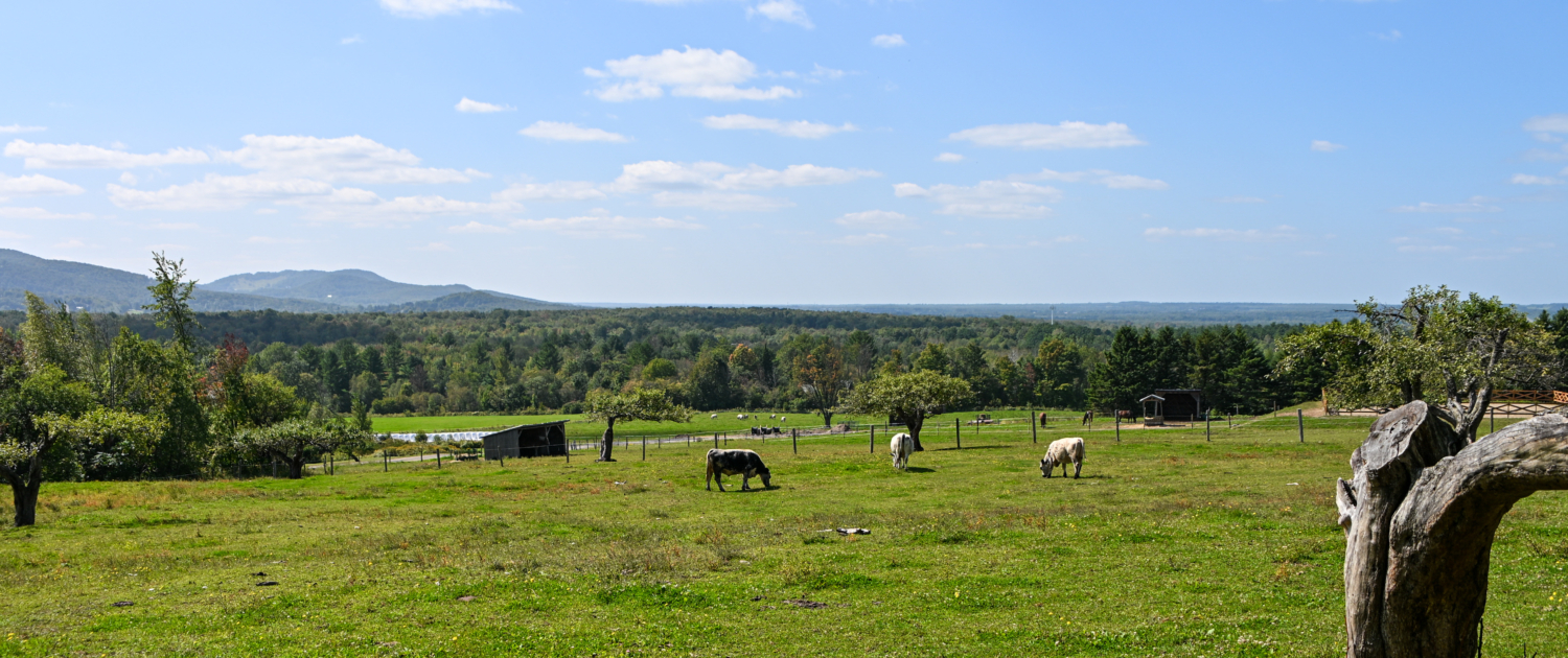 ferme été