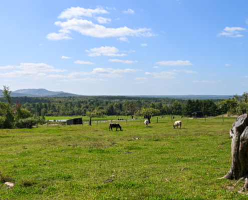 ferme été