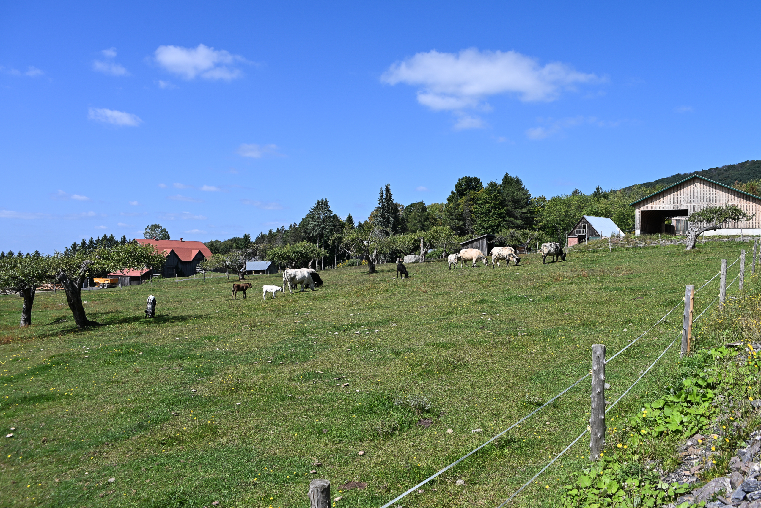 ferme sauve terrain